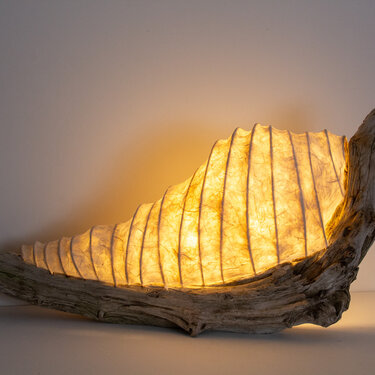 The Snail Lamp