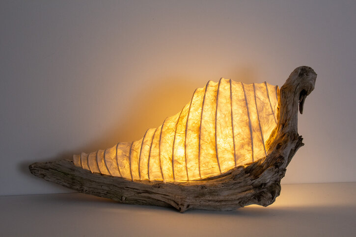 The Snail Lamp