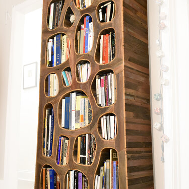 Recycledelic Bookshelf