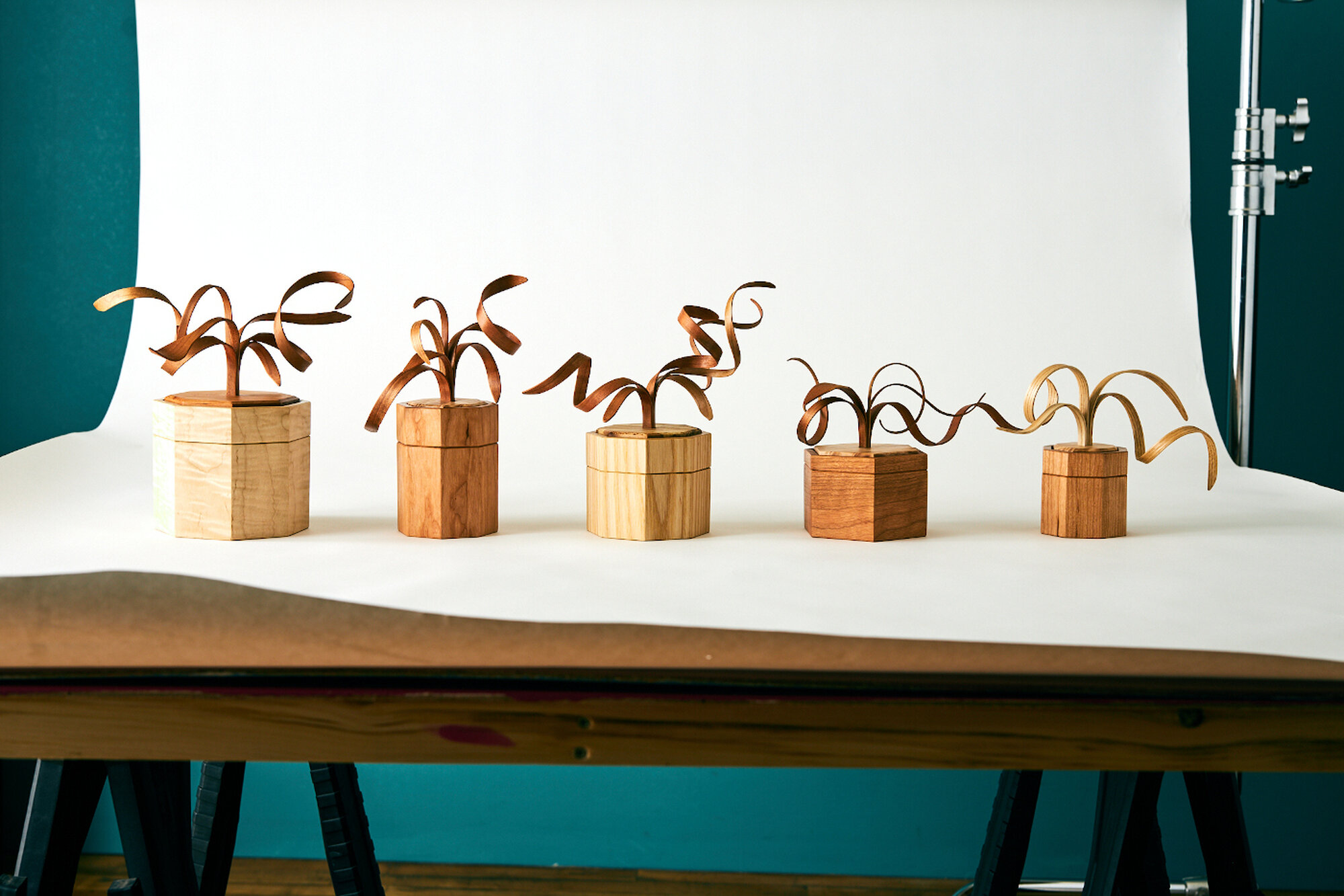 Spiral Sprout Boxes