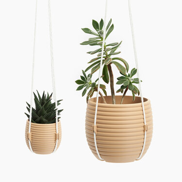 Hive Hanging Planter