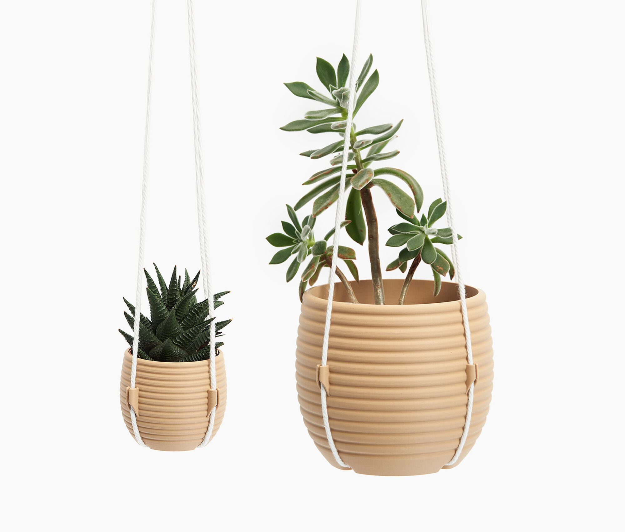 Hive Hanging Planter